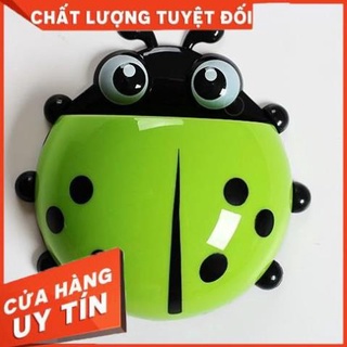BỌ RÙA LEO TƯỜNG ĐỰNG ĐỒ ĐA NĂNG [Xưởng Sỉ Dương Biên]