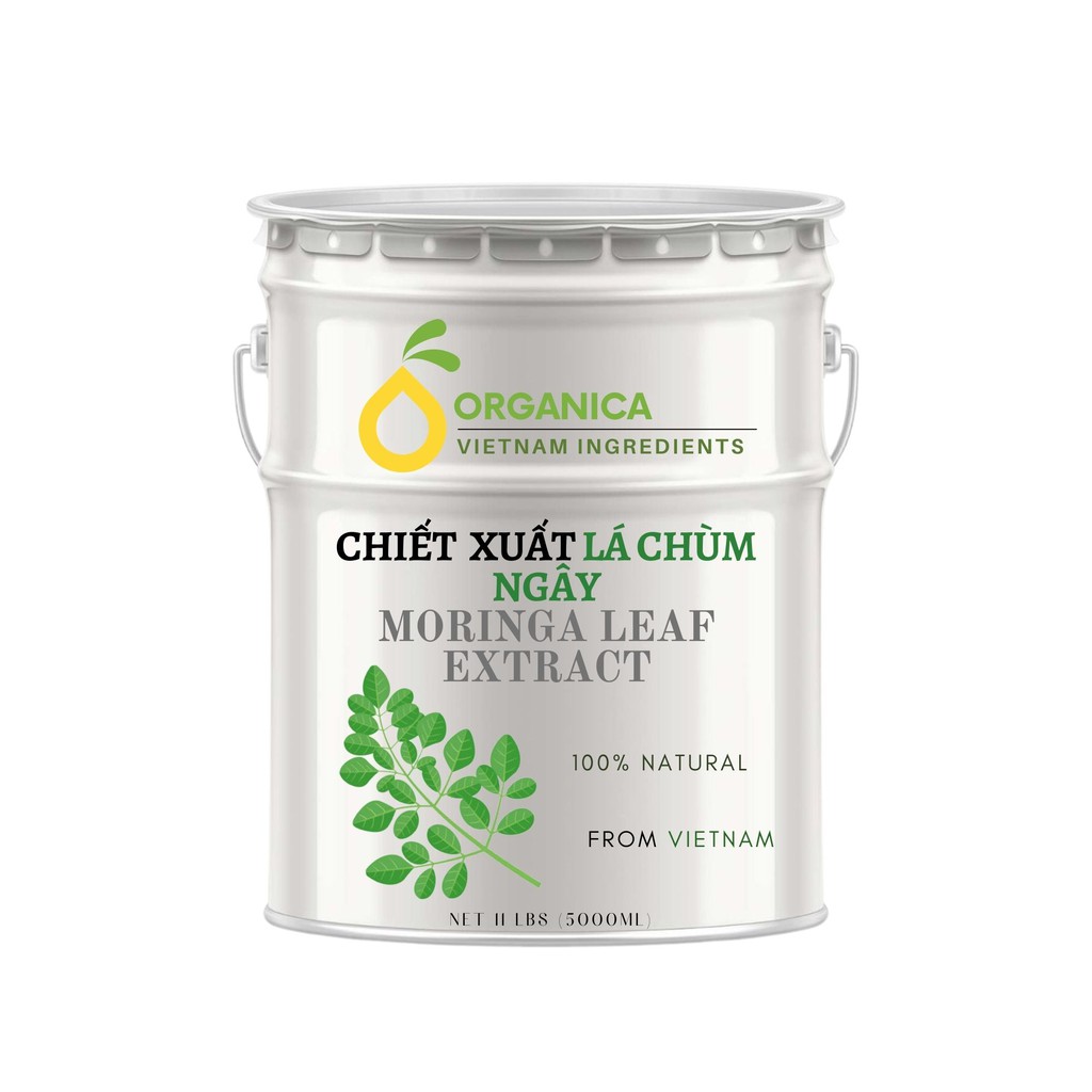Chiết xuất lá chùm ngây (Moringa oleifera extract) - Chiết xuất thiên nhiên (Natural Extract)
