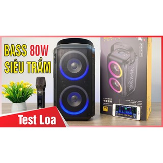 Loa Karaoke W-King T9 – Loa ngoài trời công suất cao 80W, đèn LED RGB Kèm 1 míc Karaoke