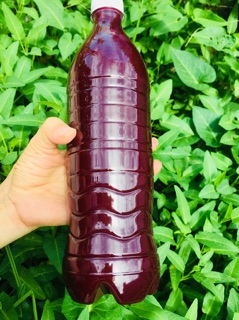Siro xương rồng