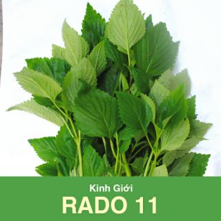 Hạt giống rau kinh giới