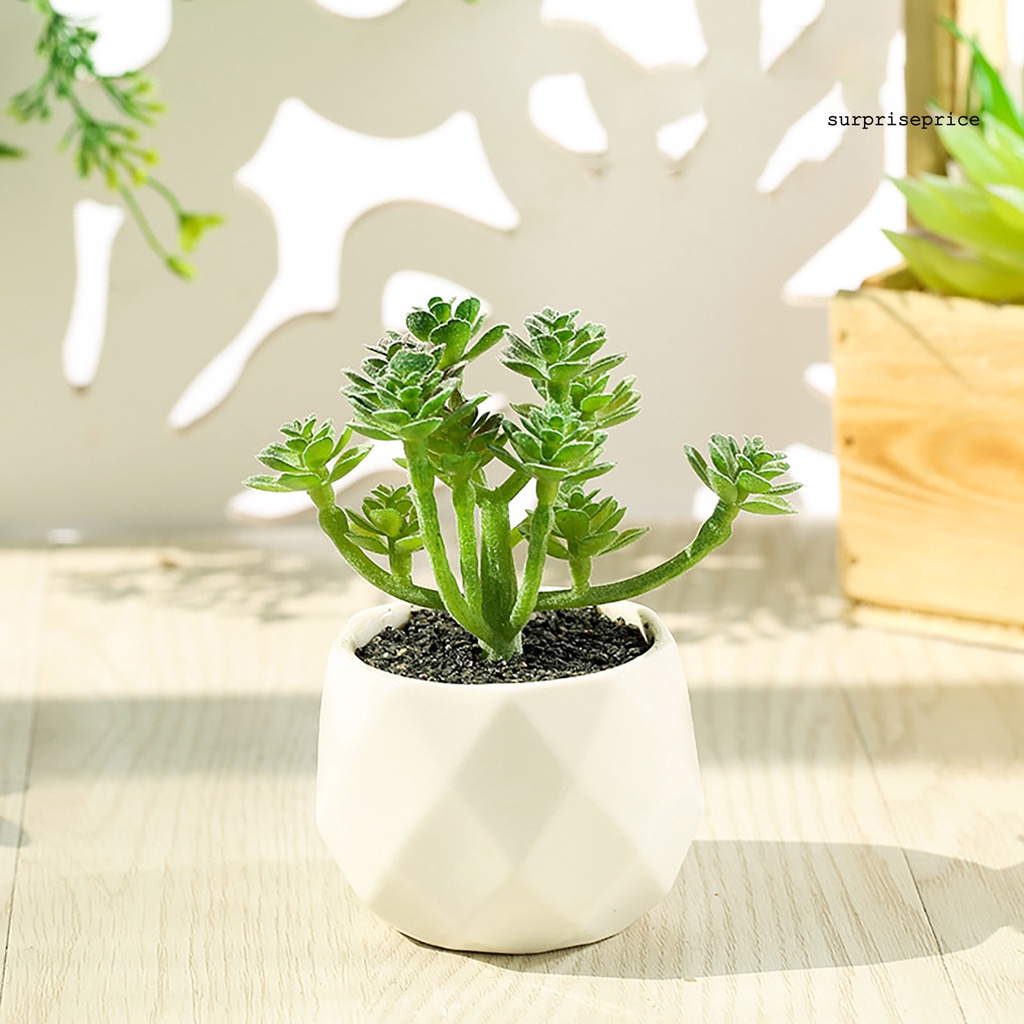 Chậu cây sen đá giả mini nhiều màu sắc trang trí nhà cửa