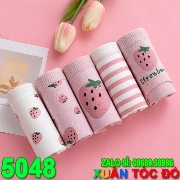 SỈ ZALO RẺ HƠN NHIỀU_ Quần Lót 5 Kiểu Dâu Tây Hồng Mới 5048