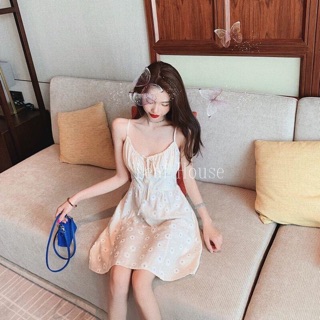 ĐẦM HOA CÚC RÃ NGỰC