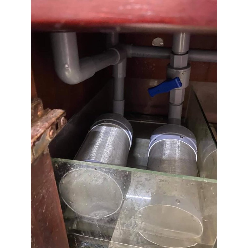 Ống tách phân hồ cá cảnh