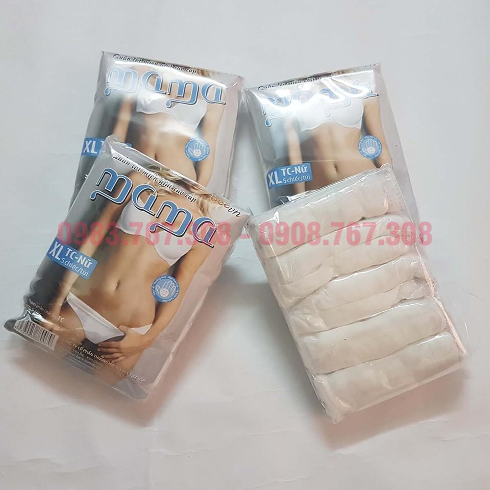 Bịch 5 Chiếc Quần Lót Giấy Cotton Tiện Lợi Đi Du Lịch, Cho Mẹ Sau Sinh - Chất đẹp - 8936095880079