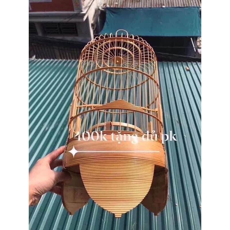 khuyên chân chỉ net