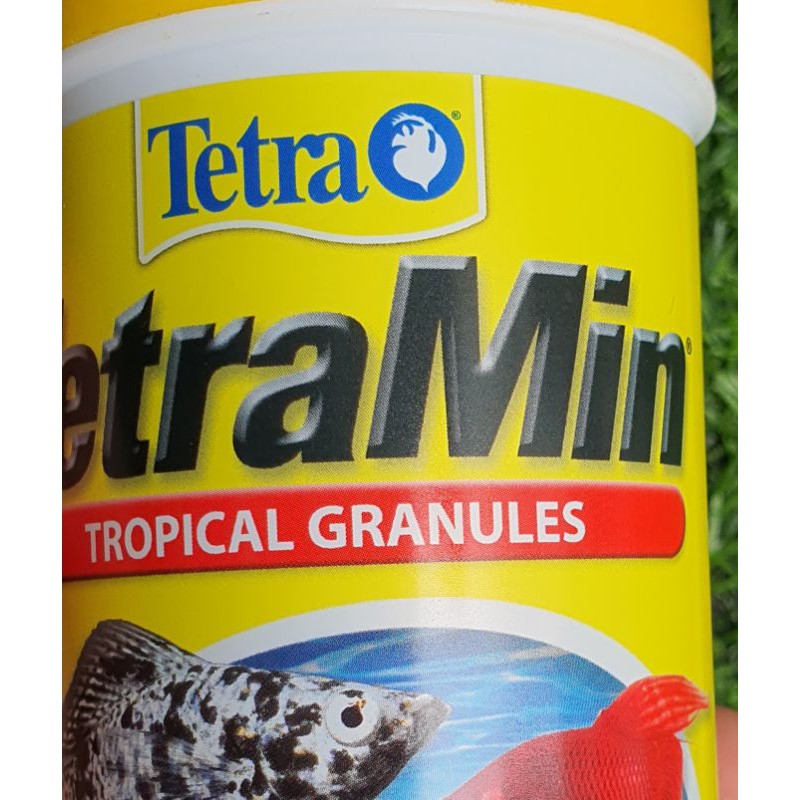 TetraMin - Thức ăn cao cấp cho cá đĩa, thần tiên dạng hạt - Hộp 100G