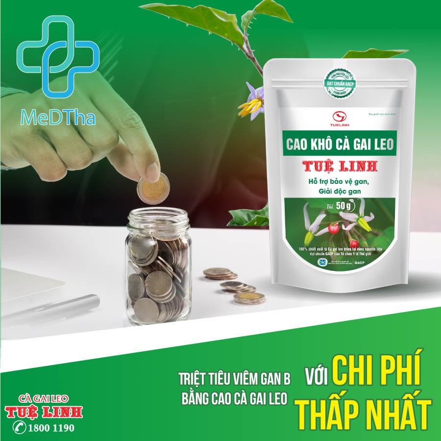 Cao khô Cà Gai Leo Tuệ Linh - Giải độc, tăng cường chức năng gan, bảo vệ và phục hồi tế bào gan [Chính Hãng]