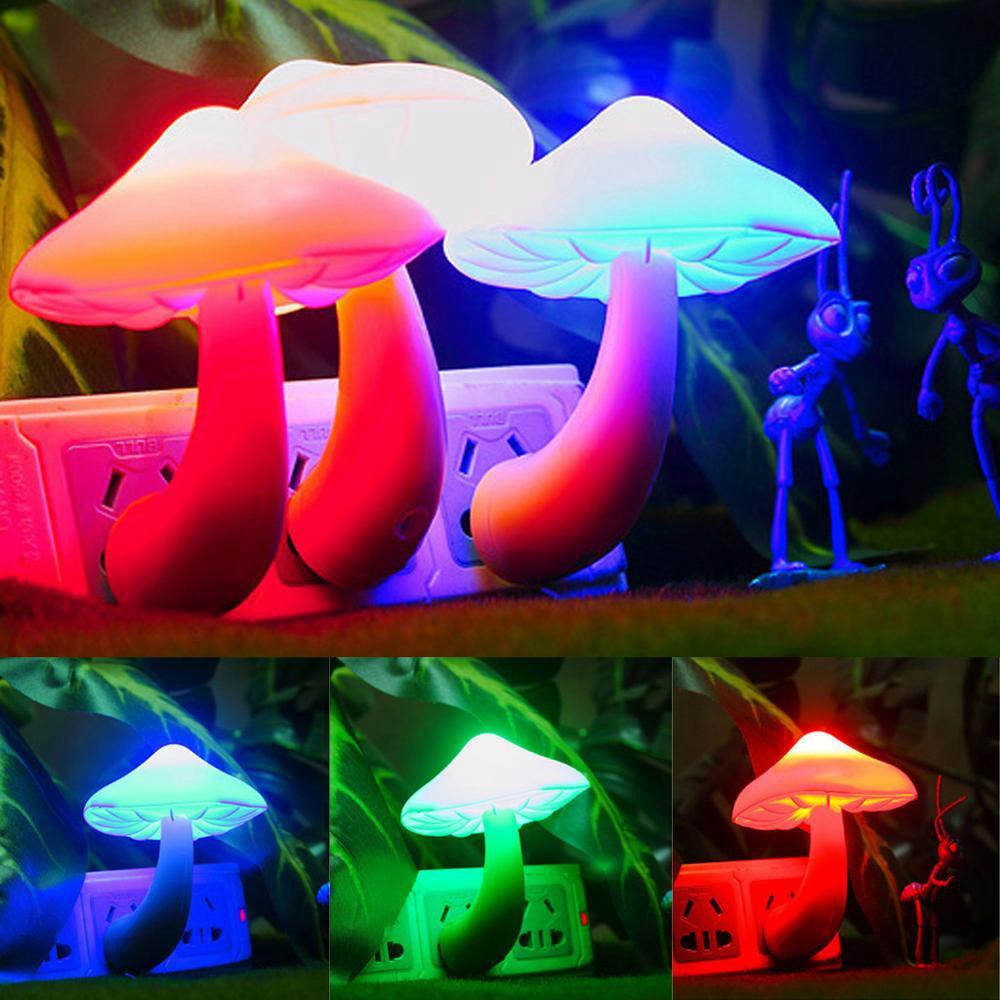 Đèn LED Gắn Tường Ánh Sáng Trắng Ấm Áp Trang Trí Nhà Cửa