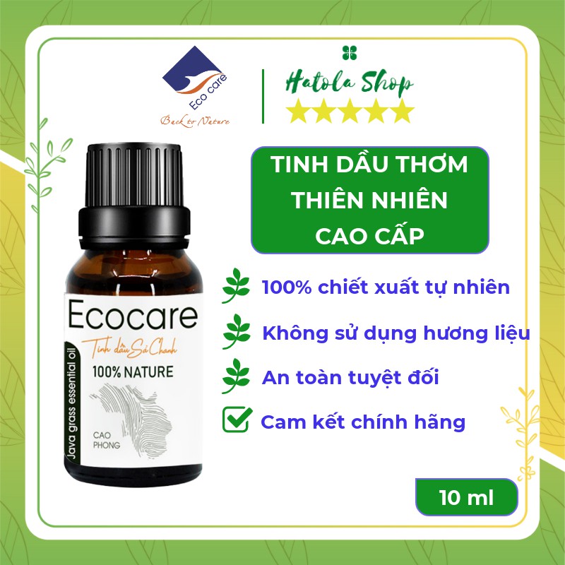 Tinh Dầu Xông Mũi Họng Ecocare 100ml, chiết xuất hoàn toàn tự nhiên, có chứa Nano Bạc, an toàn tiện lợi