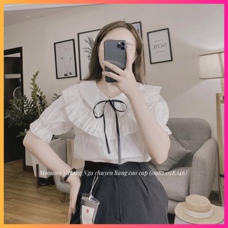 Áo Sơ mi công sở phối nơ - moonmy