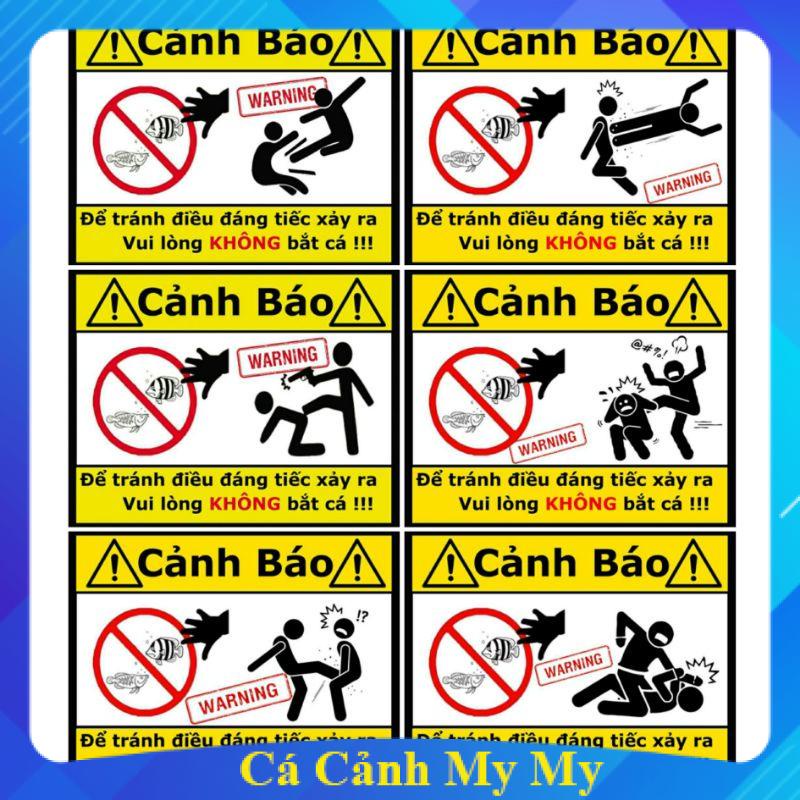 Sticker cảnh báo cấm nghịch cá | tem dán cảnh báo bể cá