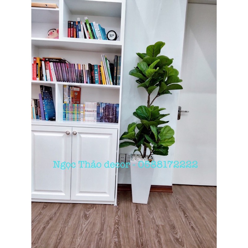 Cây bàng Singapore giả -cây hoa giả  Trang trí không gian sống, nhà cửa