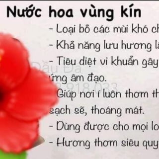 Nước hoa vùng kín Qlady