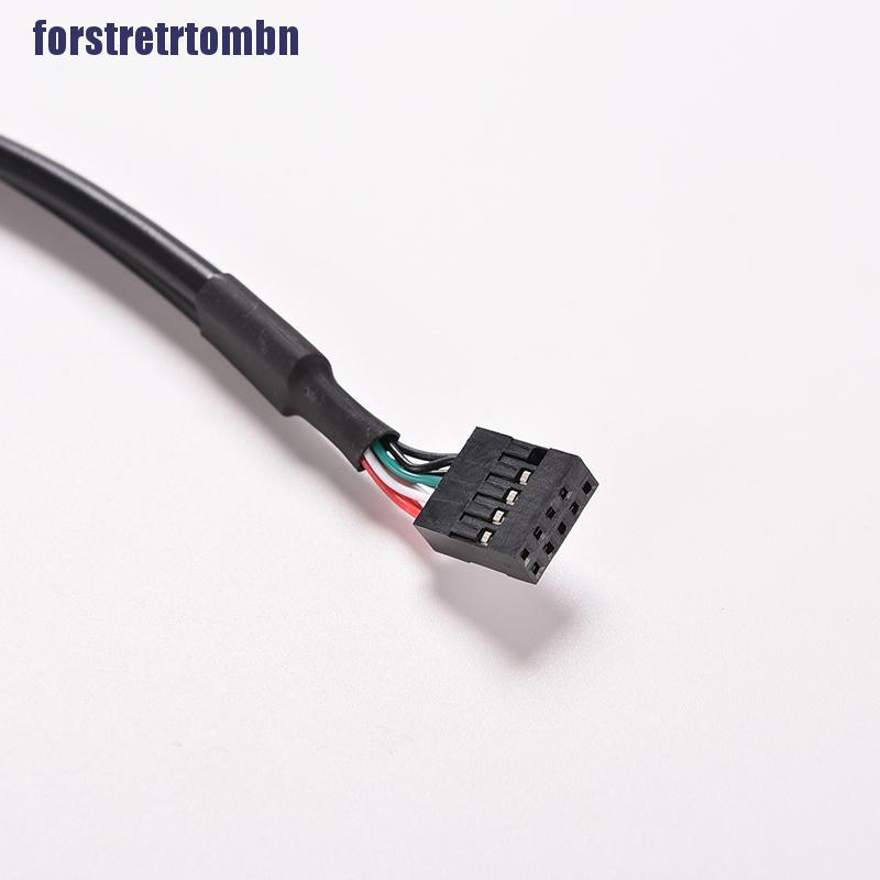 1pc Black 30cm / 1ft 2 Port Usb A Female To Inter 9 Pin Header Ada | BigBuy360 - bigbuy360.vn