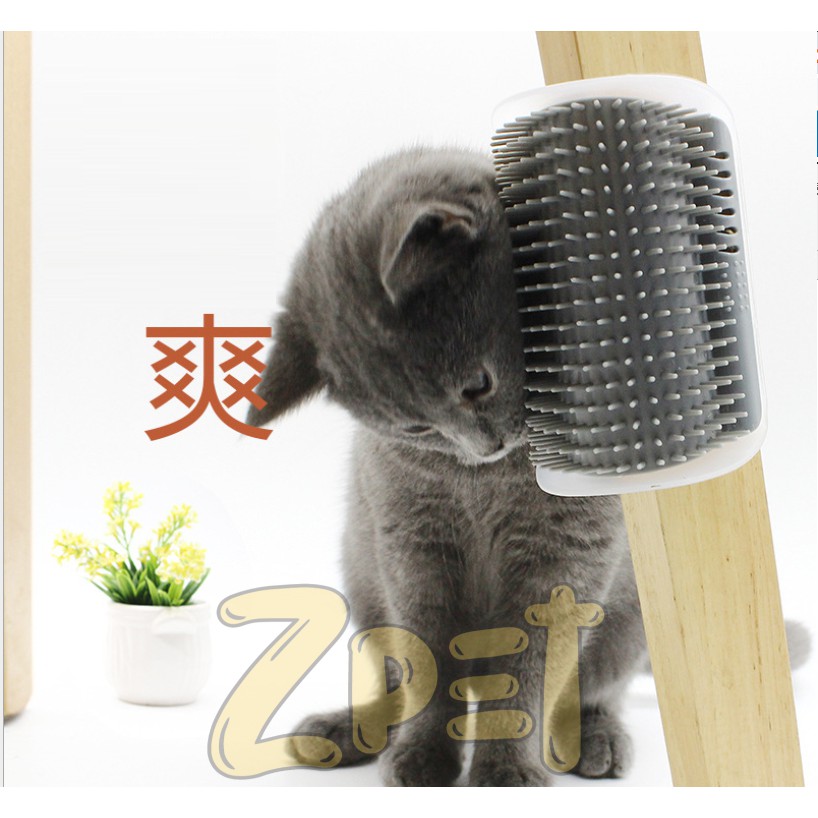 Đồ chơi gãi lông cho mèo có thể bỏ catnip vào.