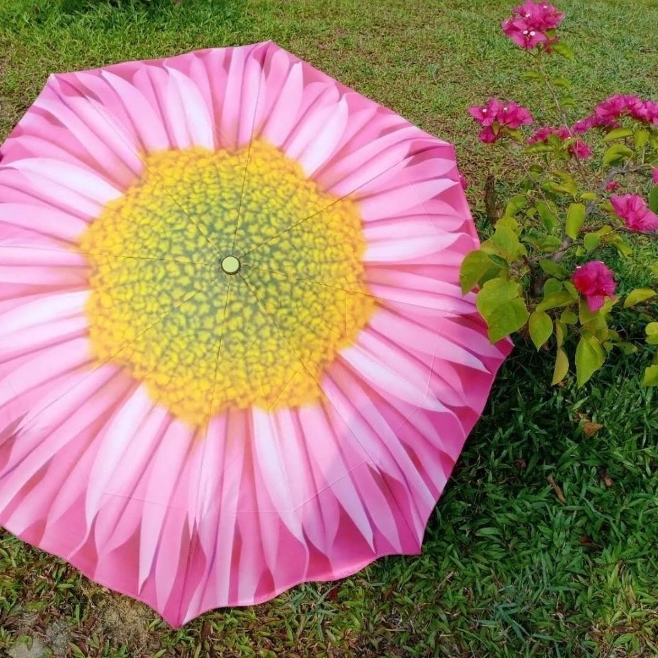 Gao Kao Sunflower đạt giải nhất trong một cú ngã, ô chống nắng tia UV 30% dù đi mưa hay nắng, nhựa bạc sáng tạo