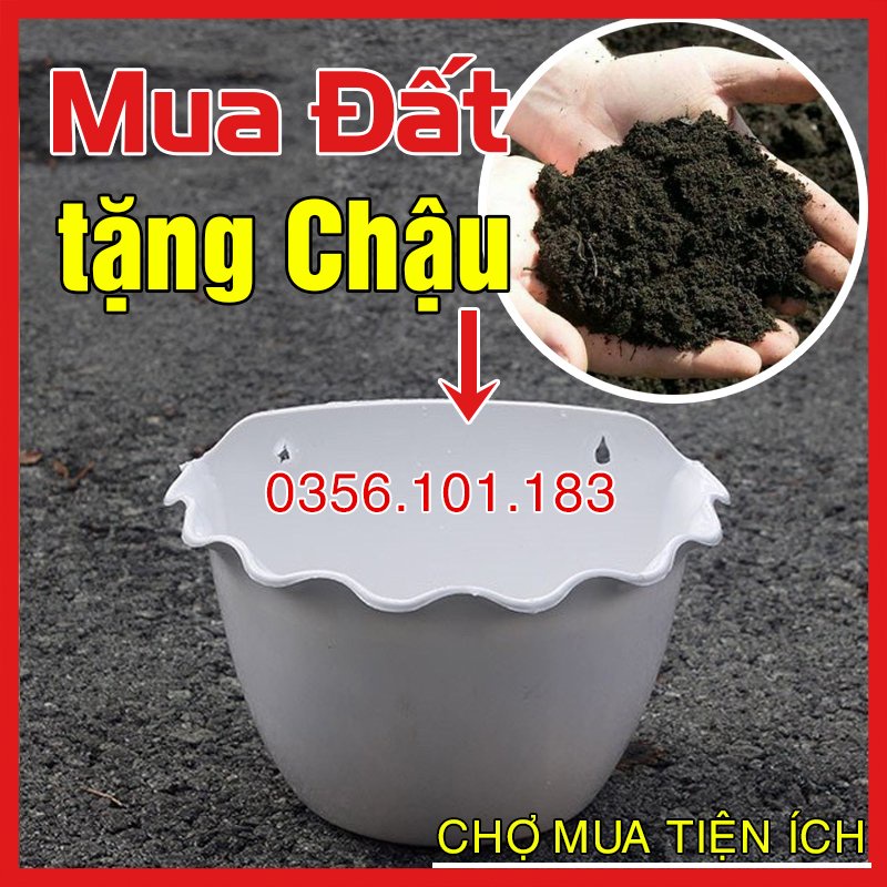 (Tặng Chậu Nhựa Trồng Cây Rau) 1 Kg Đất Sạch Trồng Cây Siêu Dưỡng Chuyên Dùng Cho Dâu Tây, Sen Đá Và Các Loại Hoa, Rau C
