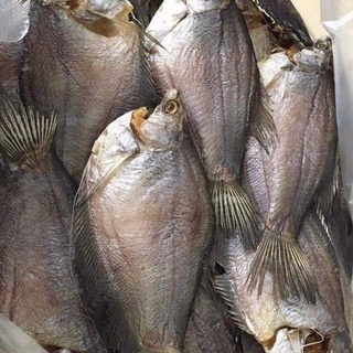 Khô sặc bổi Cà Mau 1KG dày thịt thơm ngon