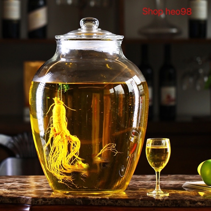 Bình Thuỷ Tinh Ngâm Rượu 10 Lít, 15 Lít, 20 Lit Hình Sọc và Hình Trơn