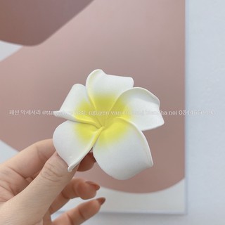 ẢNH THẬT KẸP TÓC HOA SỨ ĐI BIỂN