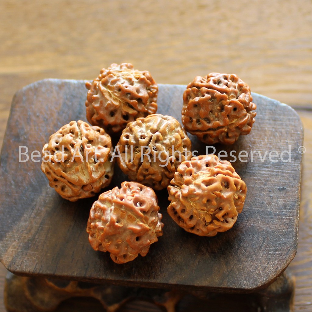 [1 Hạt/ 3 Hạt] 16-17mm Bồ Đề Kim Cang (Rudraksha) Tự Nhiên, Phong Thuỷ, Chuỗi Hạt, Mệnh Mộc, Hoả S50 - Bead Art