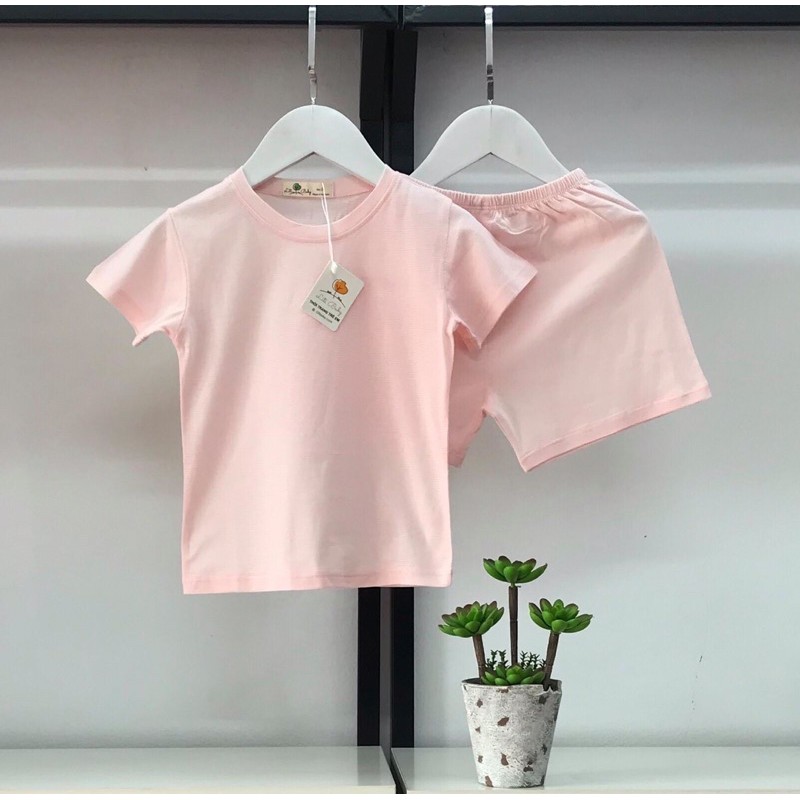 Bộ cotton giấy 2-6 tuổi