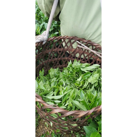 Chè sạch Thái Nguyên 200g