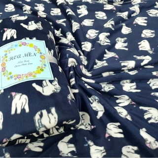 SALE/ 99k còn 85k. Mền nỉ cotton Thái Xanh Gấu văn phòng, đi học, du lịch