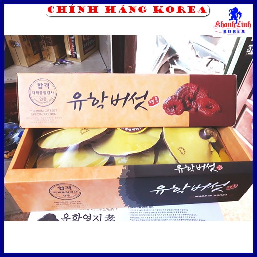Nấm Linh Chi Hàn Quốc Vàng Chanh, Nấm Hộp Quà Cao Cấp 1kg