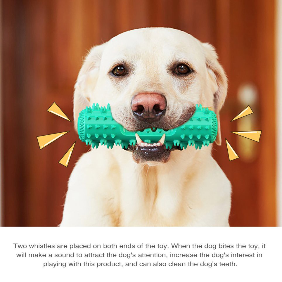 Đồ chơi nhai gặm mài răng chống cắn làm sạch răng dành cho Golden Retriever