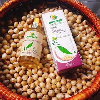 TINH DẦU TRÀM NGÂM CỦ NÉN (HOA NÉN) CHO BÉ