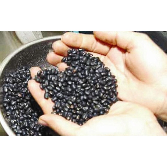 [FREESHIP 99K TOÀN QUỐC]Đậu đen xanh lòng ( 1kg)