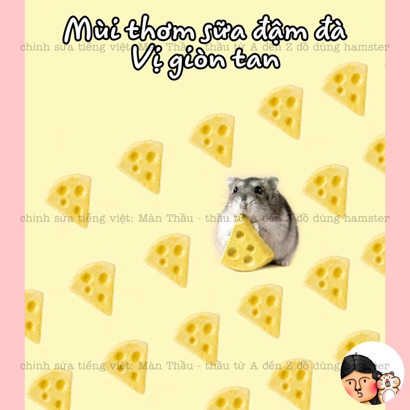 Viên phô mai dinh dưỡng Yee dành cho Hamster