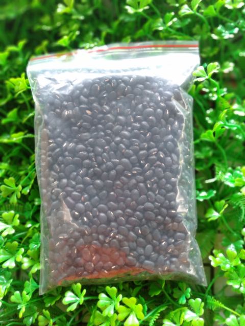 ĐẬU ĐEN XANH LÒNG