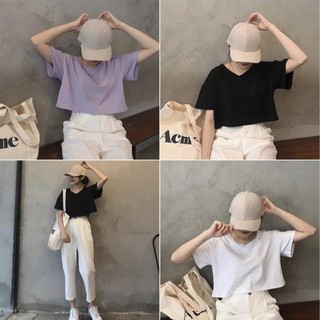 Áo CROPTOP Nữ hở eo cổ tim/cổ tròn trơn