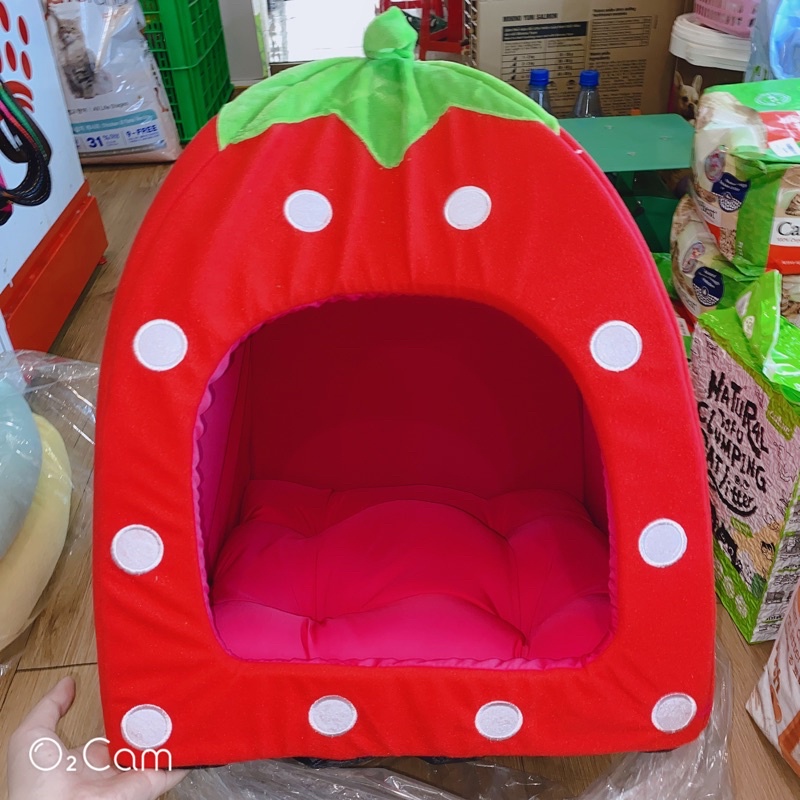 Ngôi nhà dâu (có nệm nằm cho chó mèo..)