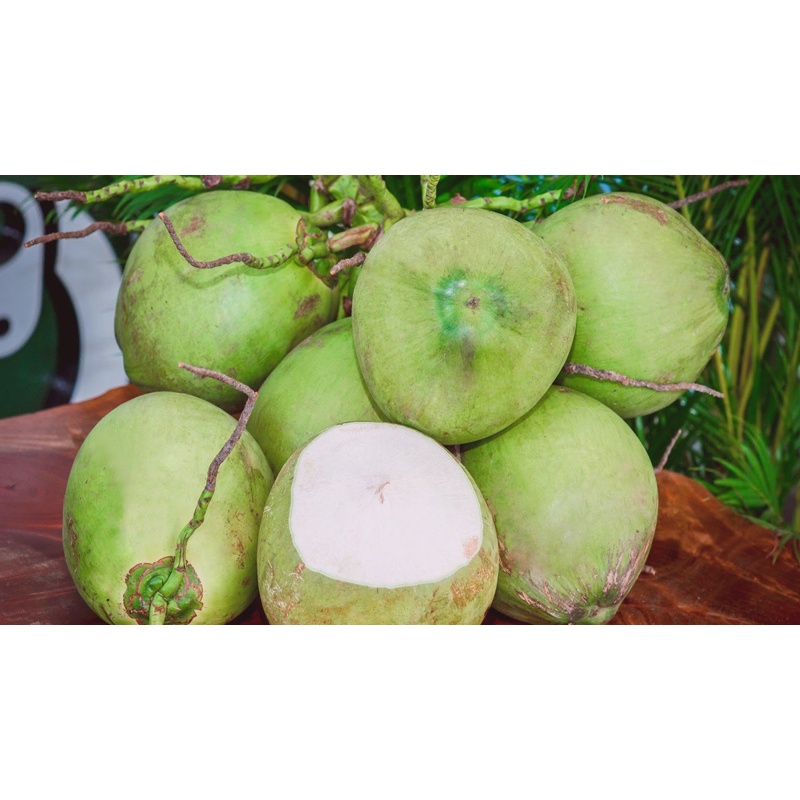 Dừa Xiêm Bến Tre ngọt lành nhiều nước - Giao Siêu Tốc 1h
