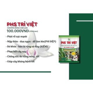 PHS Trí Việt 250g