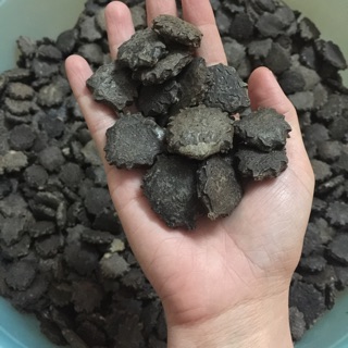Hạt gấc khô
