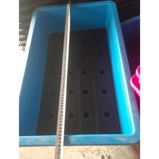 Chậu nhựa thông minh có tấm nhựa thoát nước màu Xanh dài 68cm rộng 43 cm