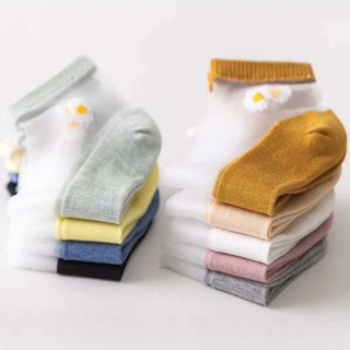 Combo 10 đôi tất ren lưới thêu hoa cúc