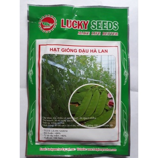 HẠT GIỐNG ĐẬU HÀ LAN LUCKY SEEDS
