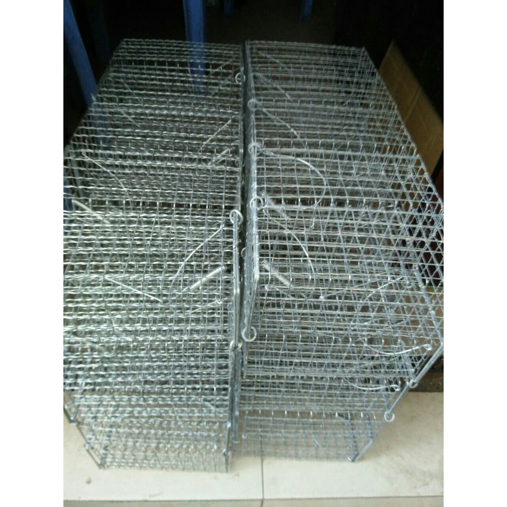 Combo 2 bẩy chuột , sóc trung