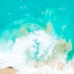 DucAnhShop136, Cửa hàng trực tuyến | BigBuy360 - bigbuy360.vn