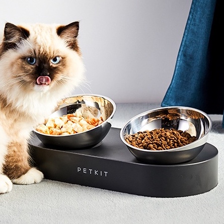 Chén ăn Petkit đôi cho chó mèo thép không gỉ nghiêng 15 độ, hợp kim bền bát tô ăn Con Mèo Xiêm