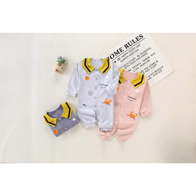 Combo 2 body cotton quảng châu