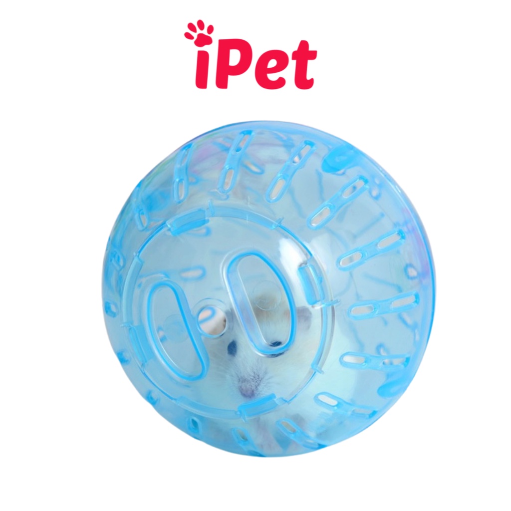 Đồ Chơi Bóng Chạy Cho Hamster, Banh Chạy Nhựa Lăn Tự Do Trong Nhà - iPet Shop