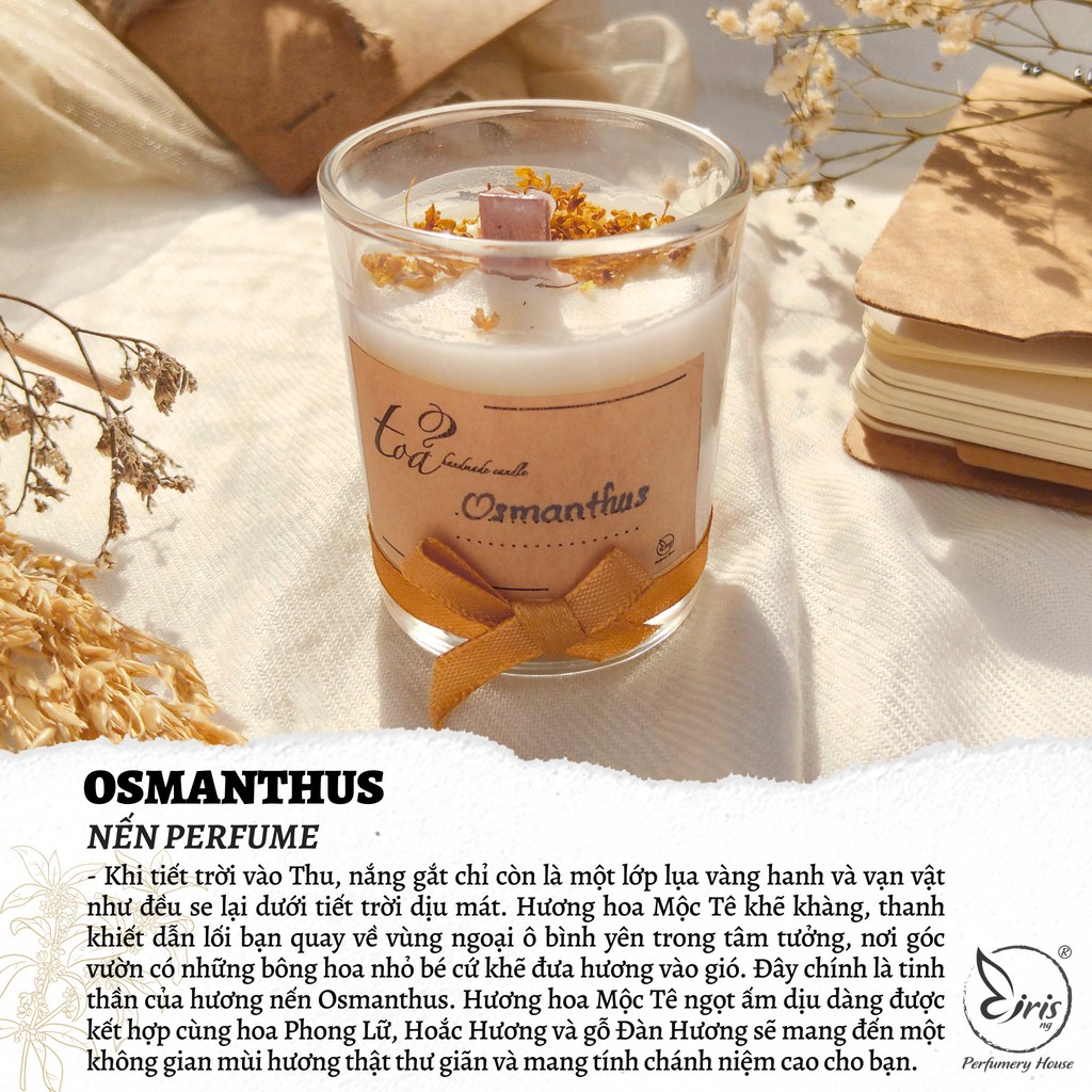 Nến nước hoa Osmanthus | Tỏa Handmade Candle